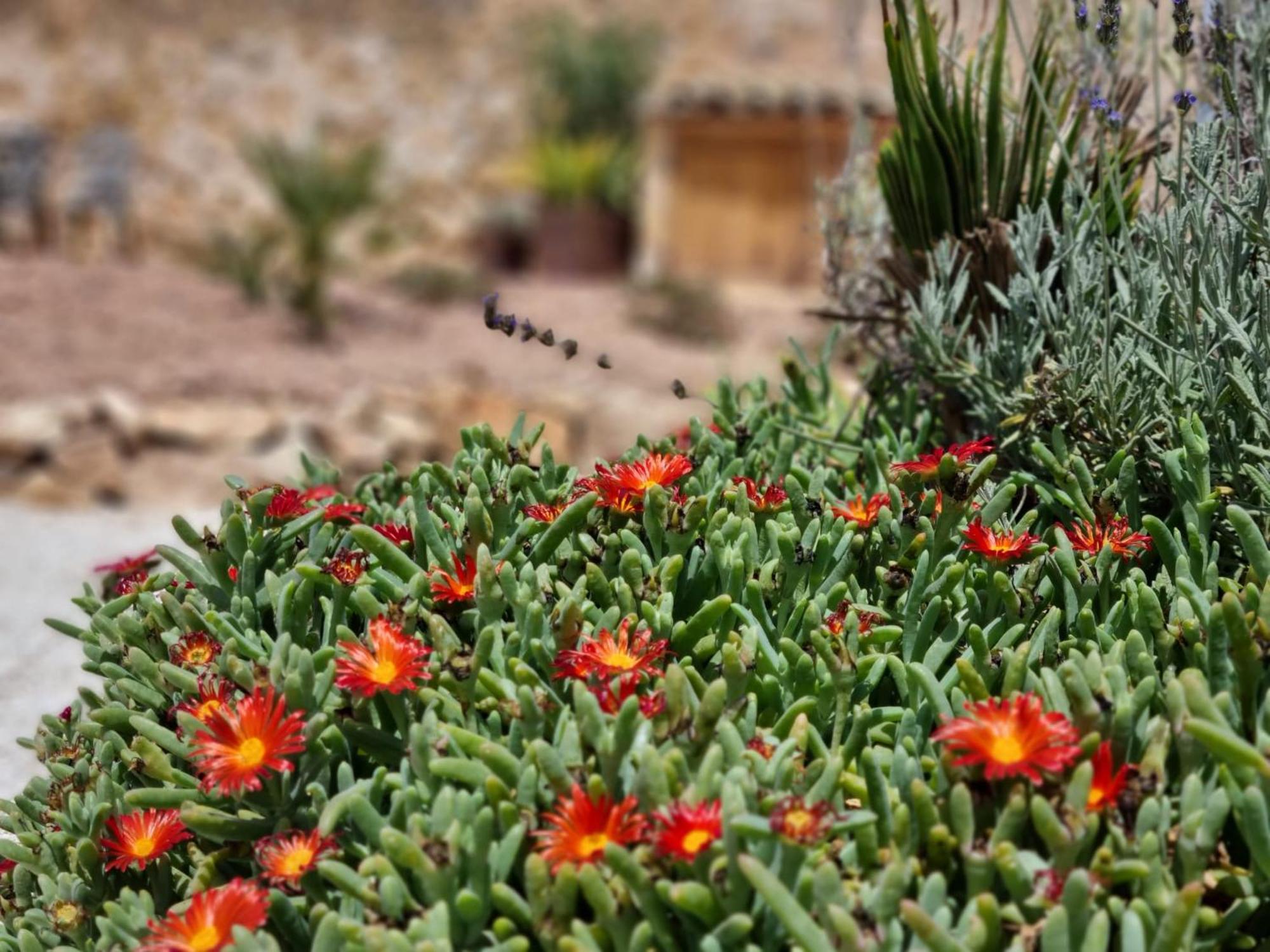 ピノーソ Casa Rodriguillo Bed & Breakfast エクステリア 写真