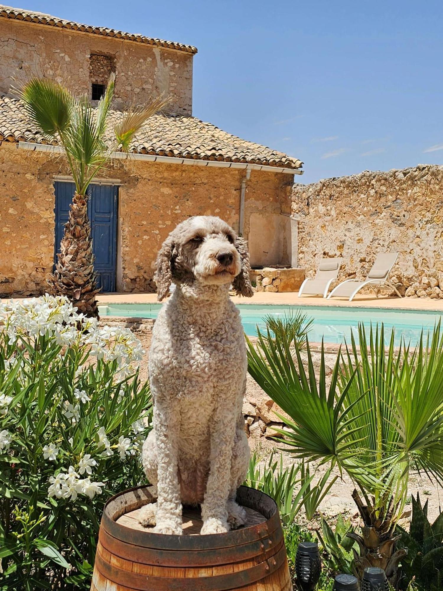 ピノーソ Casa Rodriguillo Bed & Breakfast エクステリア 写真