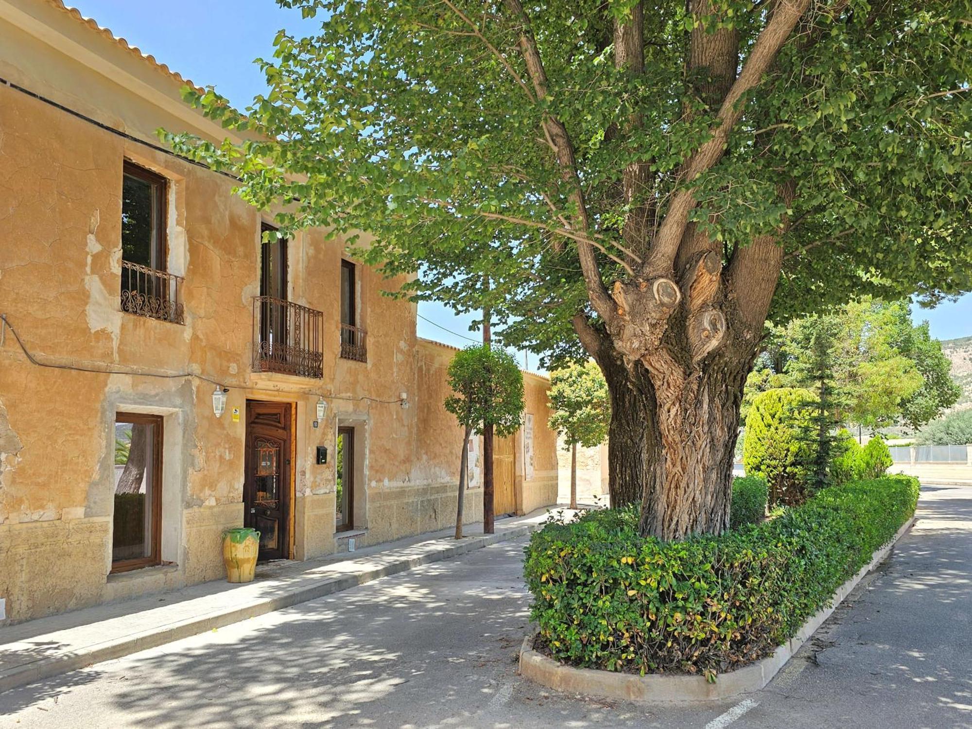 ピノーソ Casa Rodriguillo Bed & Breakfast エクステリア 写真